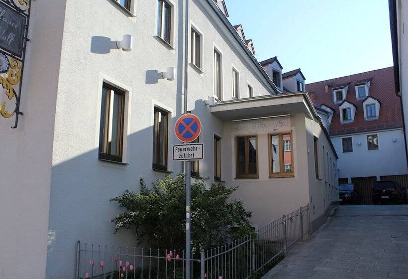 ホテル Blauer Wolf