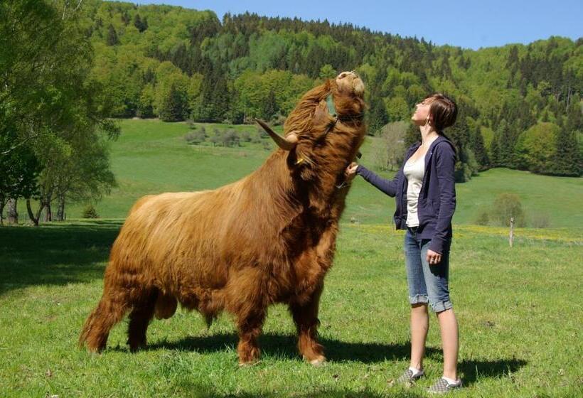 فندق Schieferhof   Glaslust