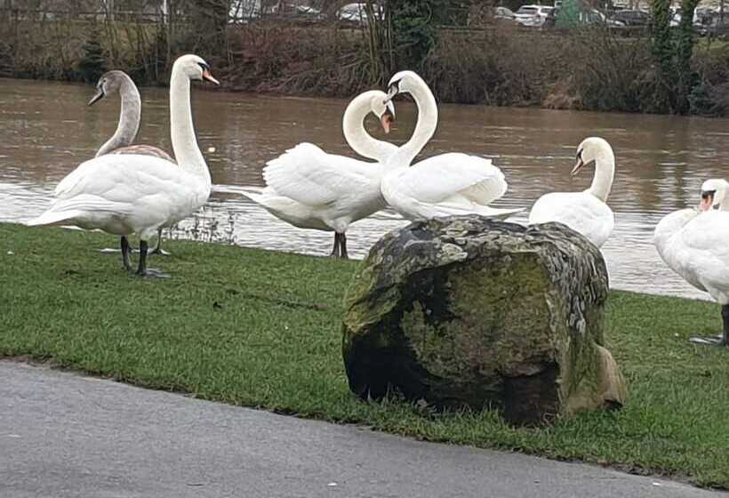Отель Chateauthierry Centre
