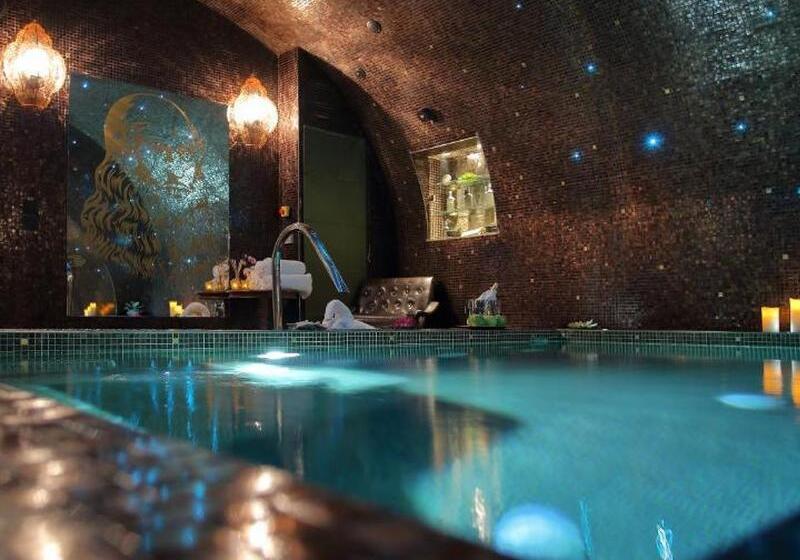 ホテル Hôtel Da Vinci & Spa