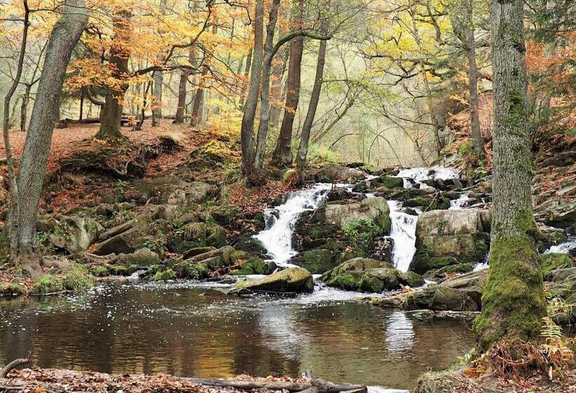 בית מלון כפרי Domschatz