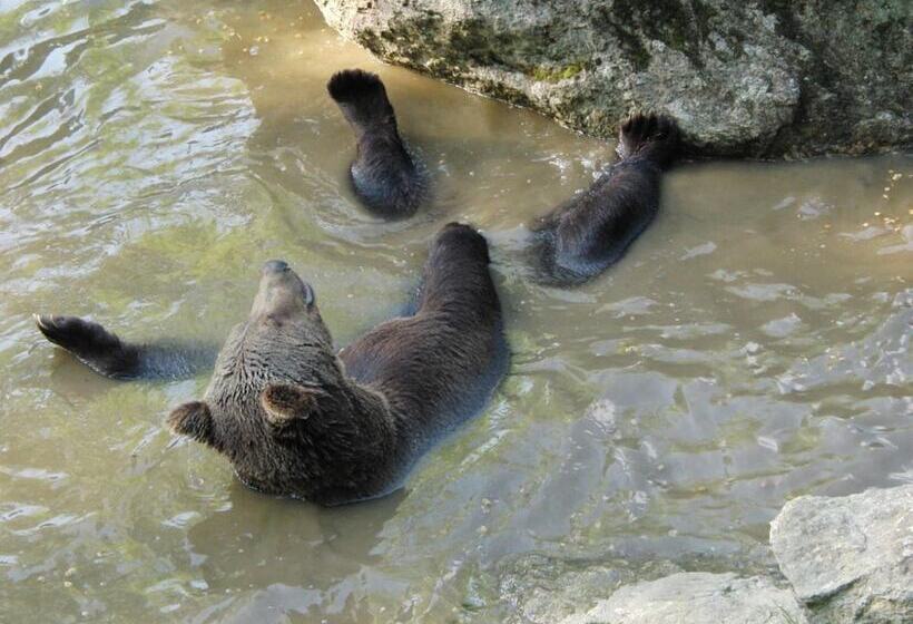 Отель Dreisonnenberg