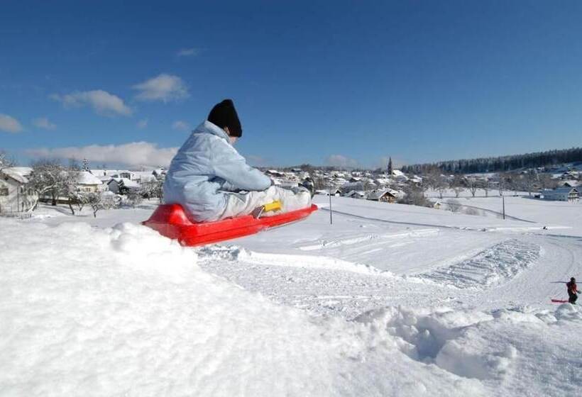 Отель Dreisonnenberg