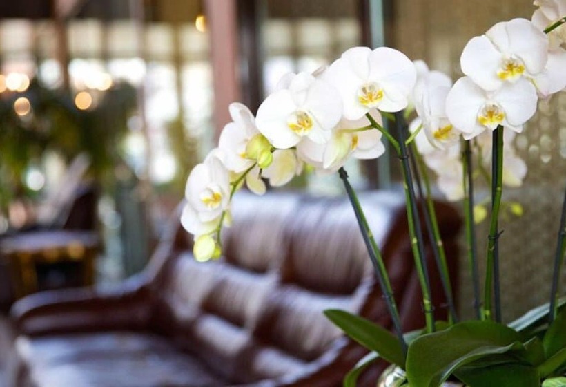 فندق Garni Geisler