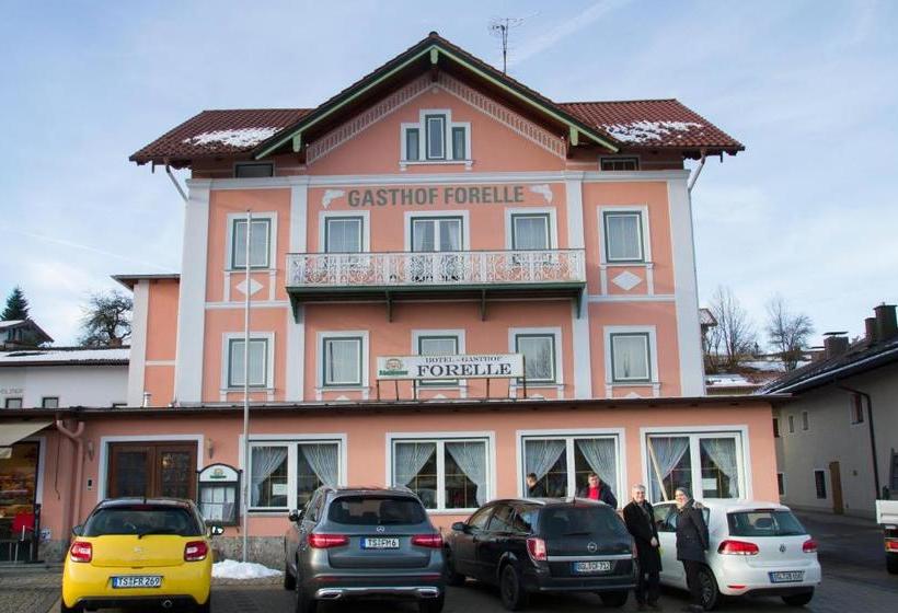 호텔 Gasthof Forelle