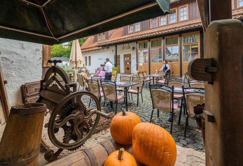 בית מלון כפרי Goldener Hirsch