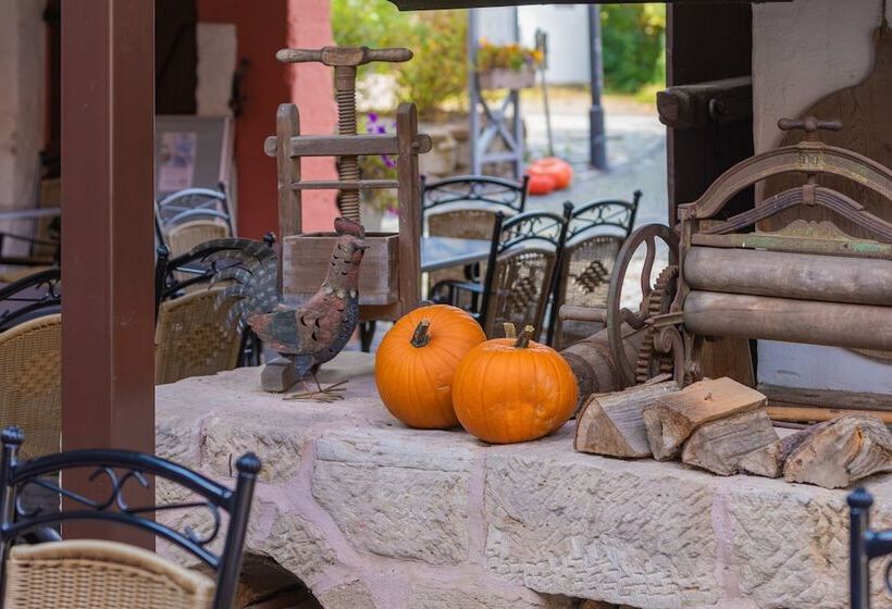 בית מלון כפרי Goldener Hirsch