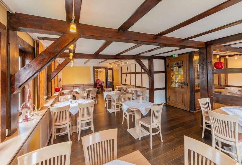 בית מלון כפרי Goldener Hirsch