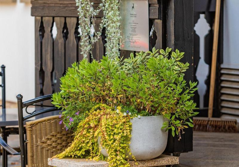 בית מלון כפרי Goldener Hirsch