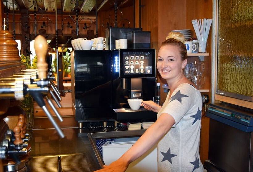 فندق Gruner Baum