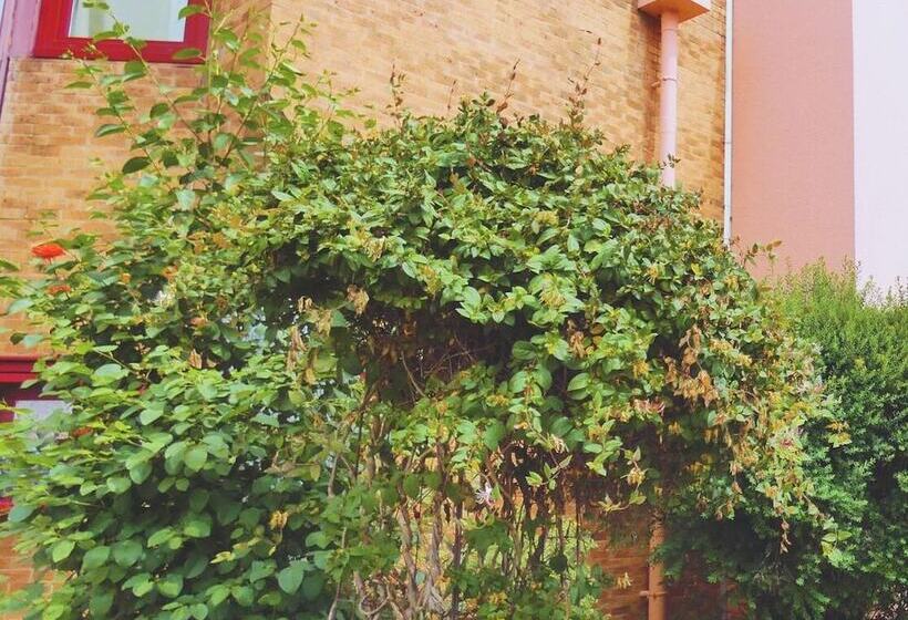 בית מלון כפרי Hôtel Du Parc Limoges & Restaurant Le Temps D Une Pause