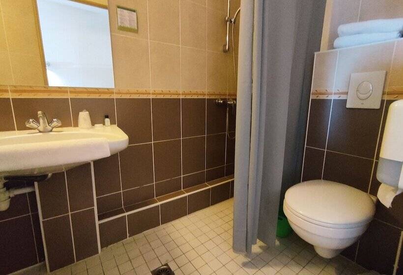 호텔 Hôtel Du Parc Limoges & Restaurant Le Temps D Une Pause