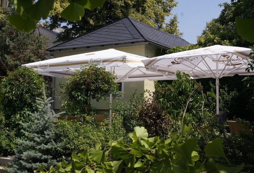 酒店 & Pension Müllers Gasthof