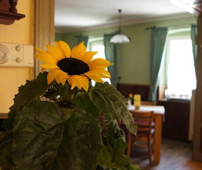 酒店 & Pension Müllers Gasthof