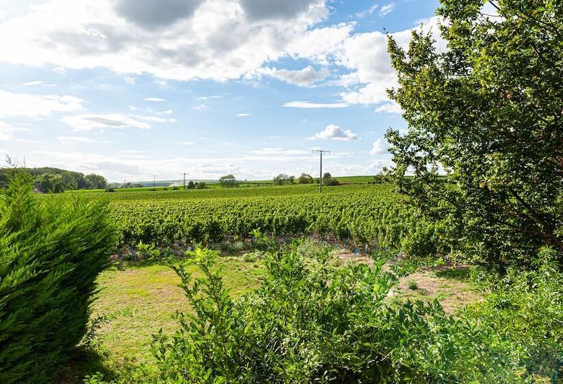 ホテル Landgut Schill