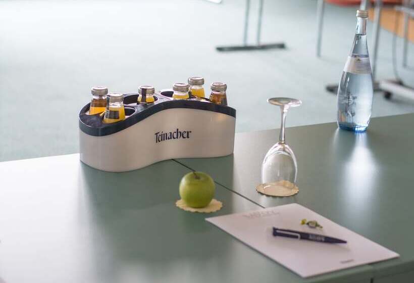 Savoy Hotel Bad Mergentheim