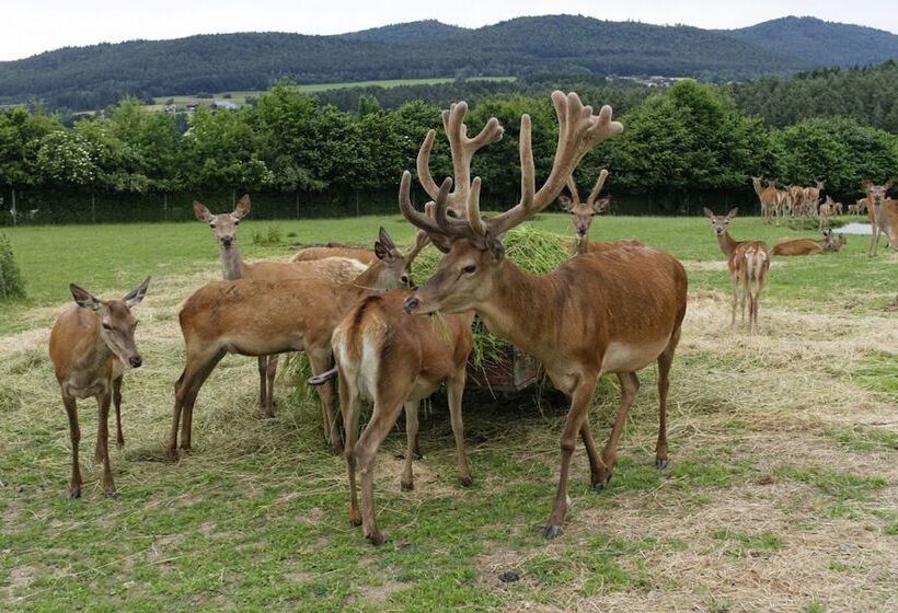 Panorama Hotel Am See