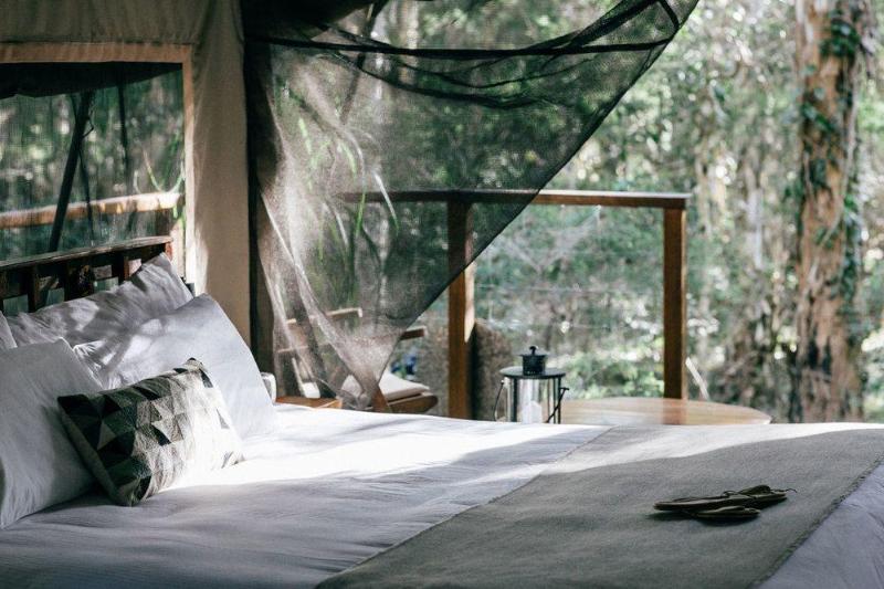 בית מלון כפרי Paperbark Camp