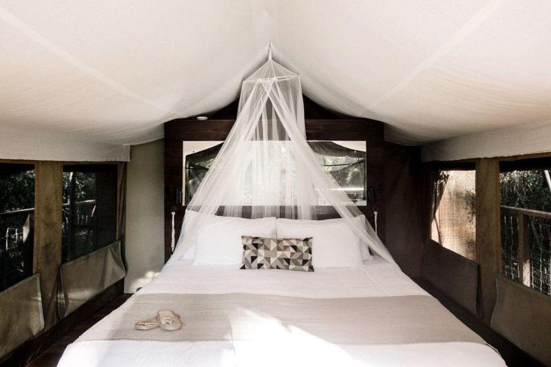 בית מלון כפרי Paperbark Camp