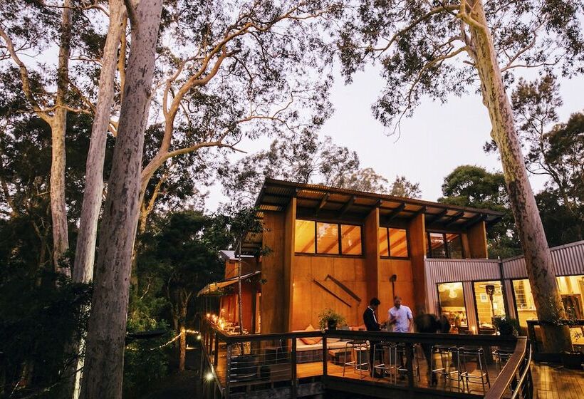 בית מלון כפרי Paperbark Camp