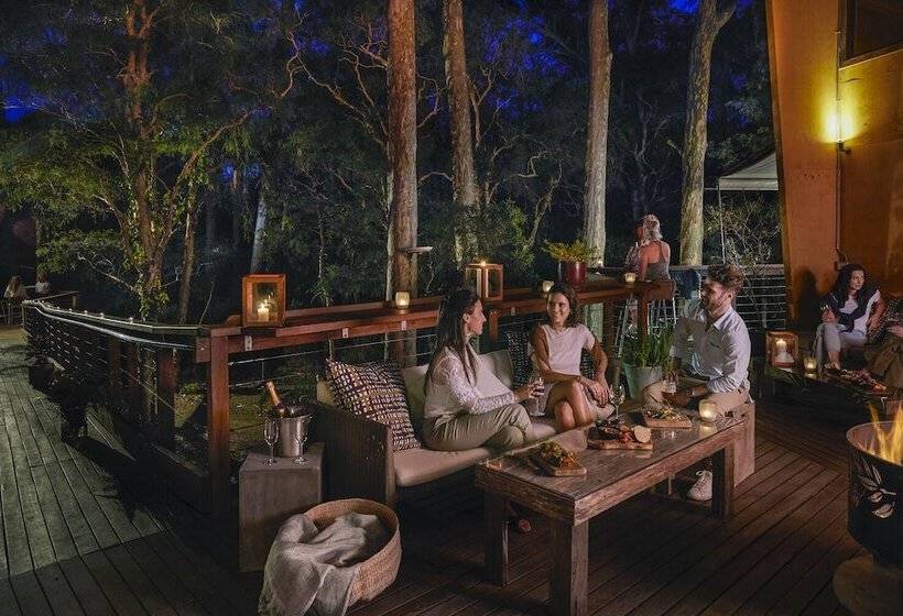 בית מלון כפרי Paperbark Camp