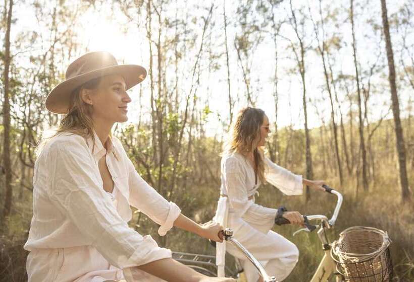 בית מלון כפרי Paperbark Camp