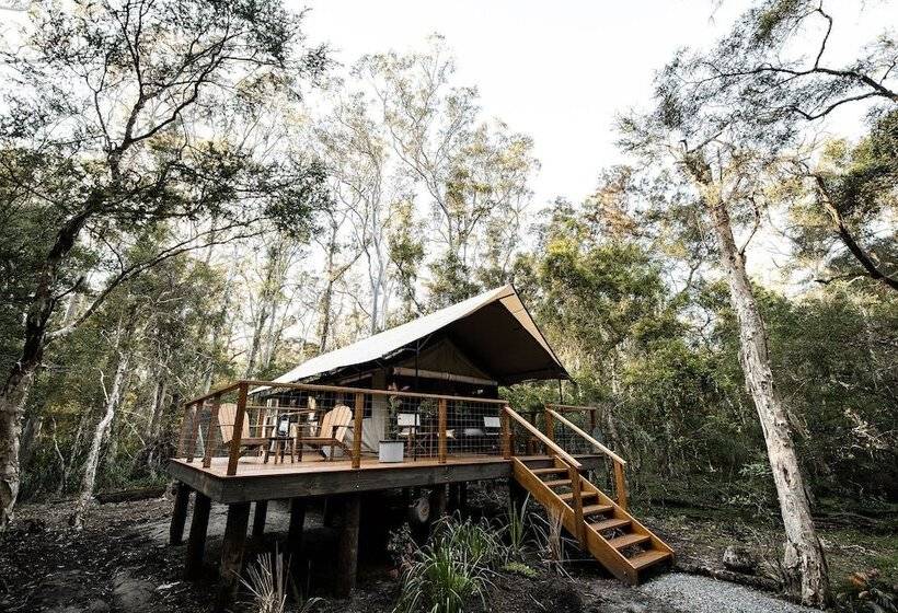 בית מלון כפרי Paperbark Camp