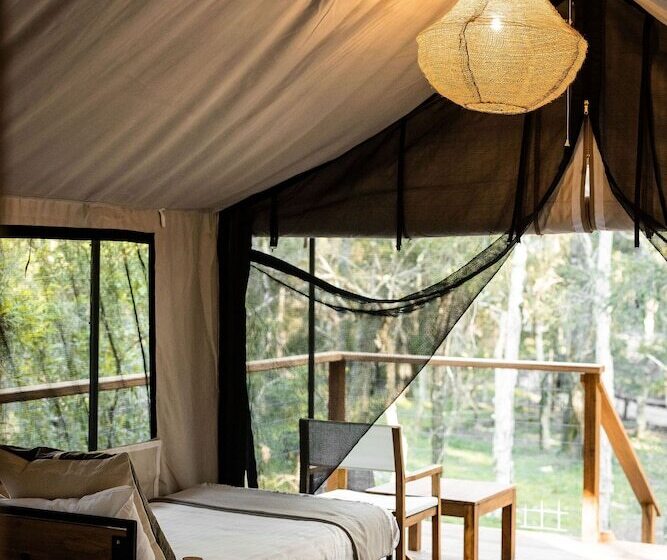 בית מלון כפרי Paperbark Camp