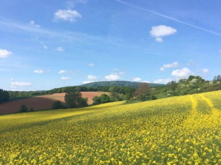 Parkhotel Schillerhain