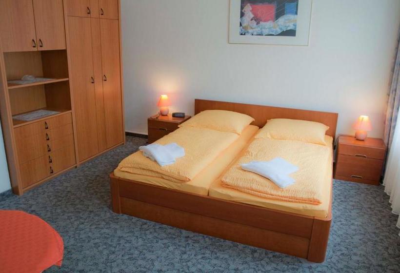 Отель Pension Leipzig Georgplatz