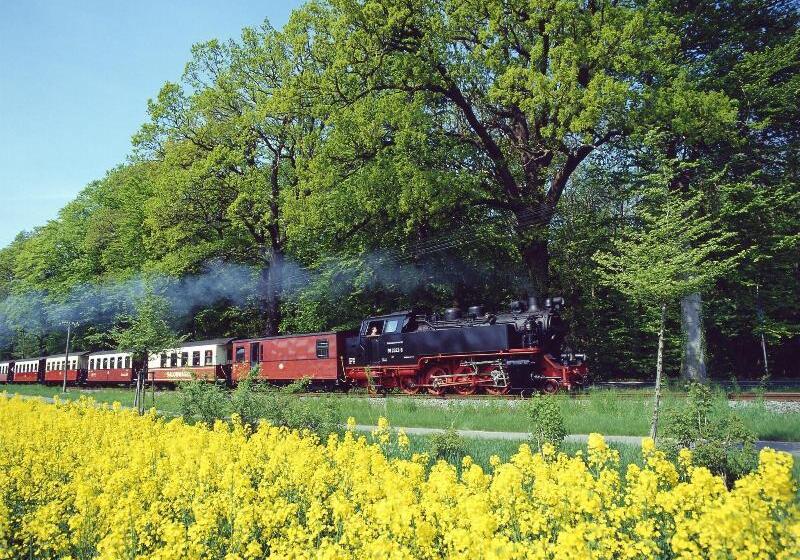 בית מלון כפרי Prinzenpalais Bad Doberan