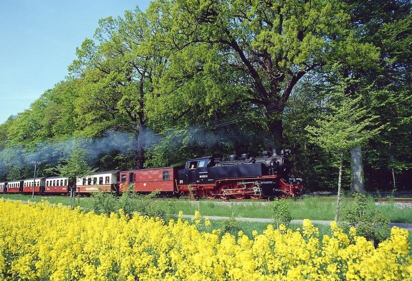 בית מלון כפרי Prinzenpalais Bad Doberan