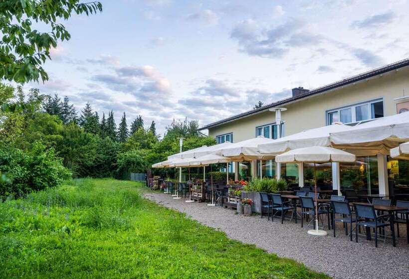 فندق Meat & Stay