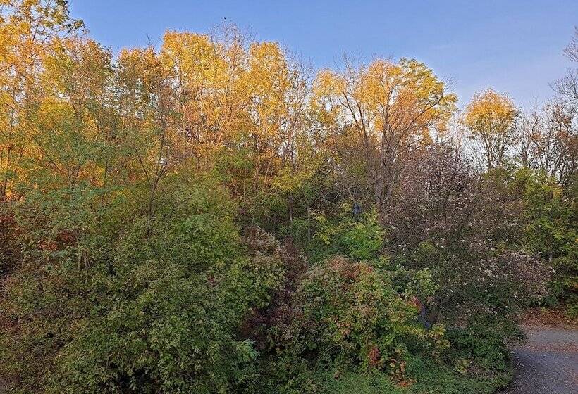 ホテル Residenz Bad Frankenhausen