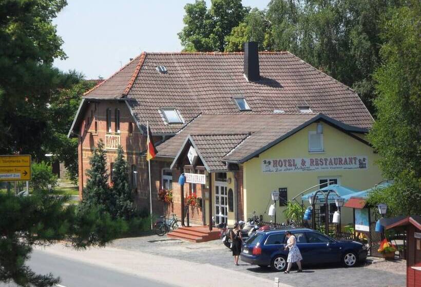 호텔 & Restaurant Alte Molkerei Kolleda