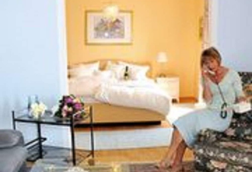 호텔 Rheinresidenz