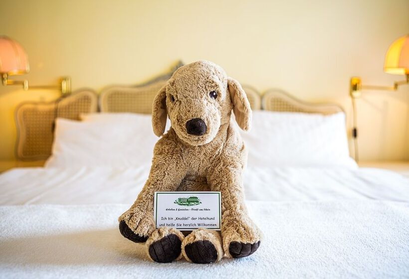 호텔 Rheinresidenz