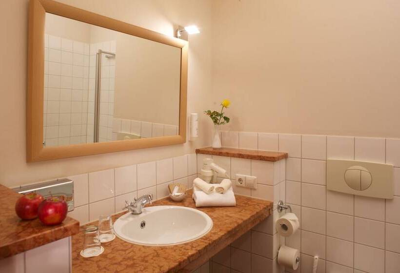 Boutique Hotel Schwarzer Baer