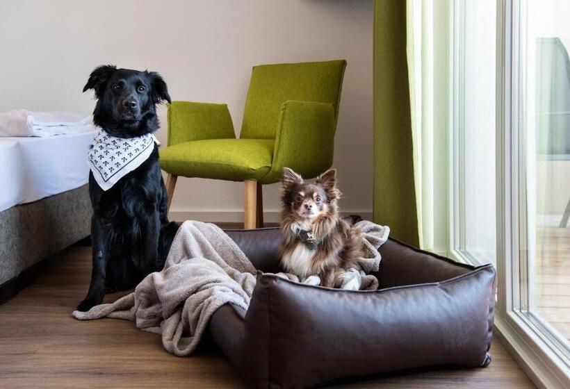 酒店 Schnitzers Dahoam   Hundefreundlich