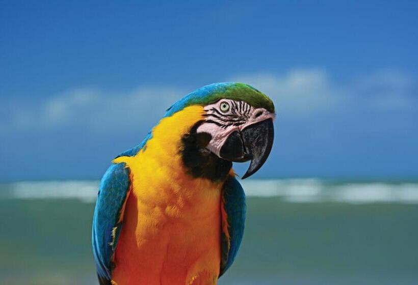 בית מלון כפרי Serrambi Resort