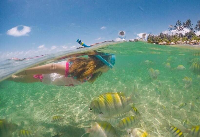 בית מלון כפרי Serrambi Resort