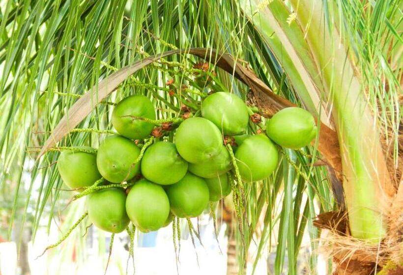 בית מלון כפרי Serrambi Resort