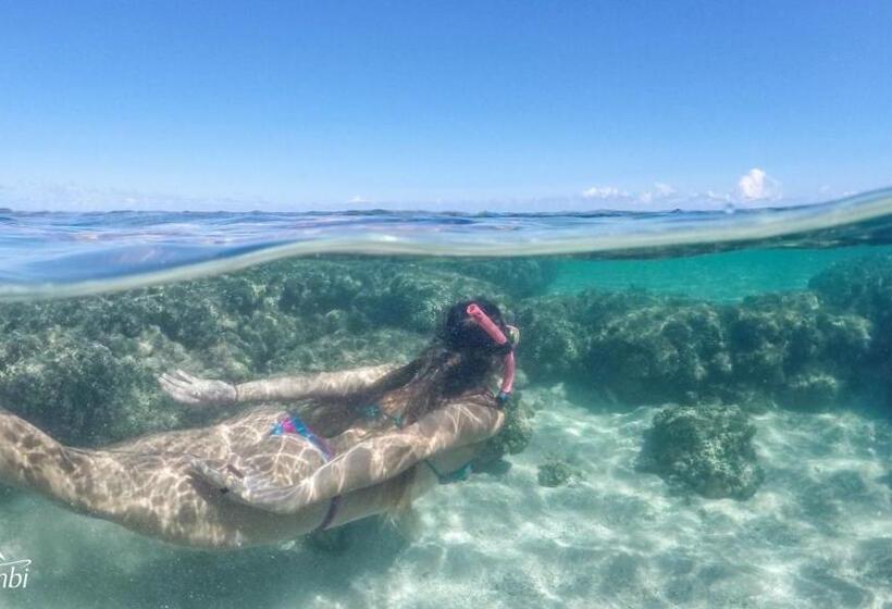 בית מלון כפרי Serrambi Resort