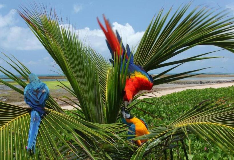 בית מלון כפרי Serrambi Resort