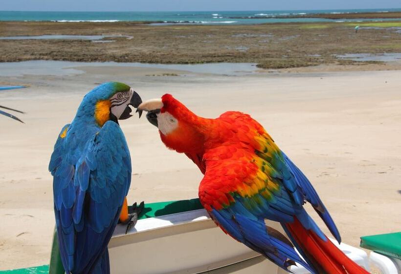 בית מלון כפרי Serrambi Resort