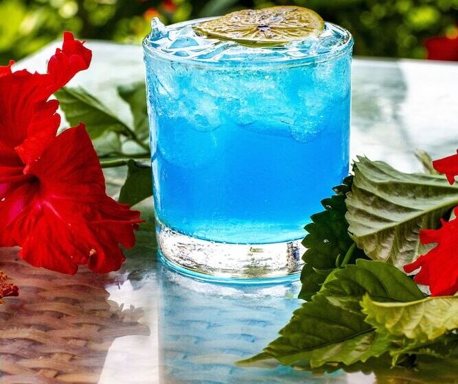 בית מלון כפרי Serrambi Resort