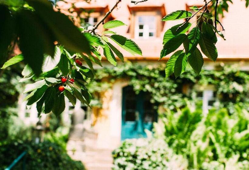 Отель Villa Sorgenfrei & Restaurant Atelier Sanssouci