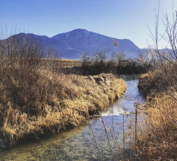 酒店 Waltraud Garni