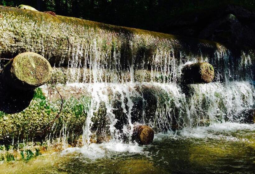 酒店 Waltraud Garni