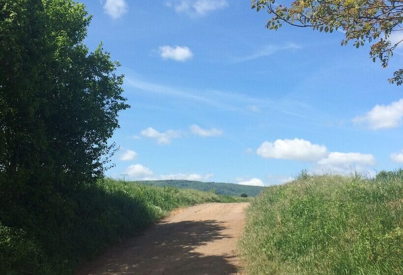 Parkhotel Schillerhain